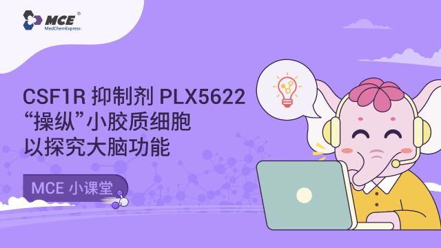 CSF1R 抑制剂 PLX5622 ——小胶质细胞耗竭如何影响中枢神经系统?清除后应用于哪些神经疾病研究?