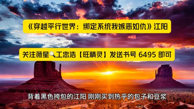 《穿越平行世界:绑定系统我嫉恶如仇》江阳新书上线全文◇TXT阅读