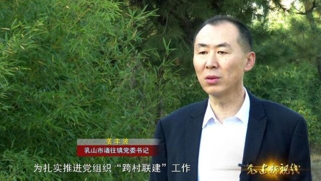 镇街书记谈党建|诸往镇:跨村“三联四好” 铸强乡村战斗堡垒