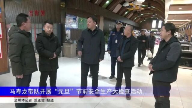 马寿龙带队开展“元旦”节前安全生产大检查活动