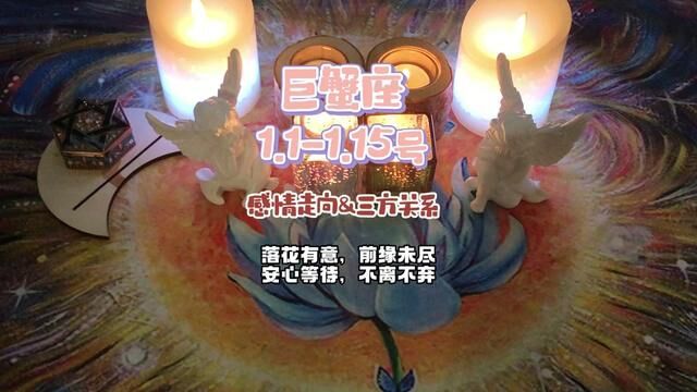 巨蟹座1.11.15号感情发展&复合指引 :落花有意,前缘未尽,安心等待,不离不弃#塔罗测试 #情感塔罗 #星座运势