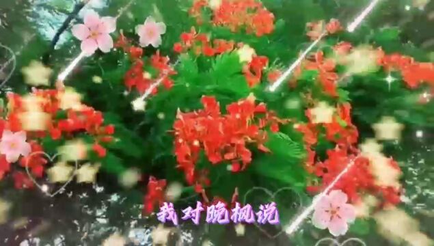 经典情感音乐