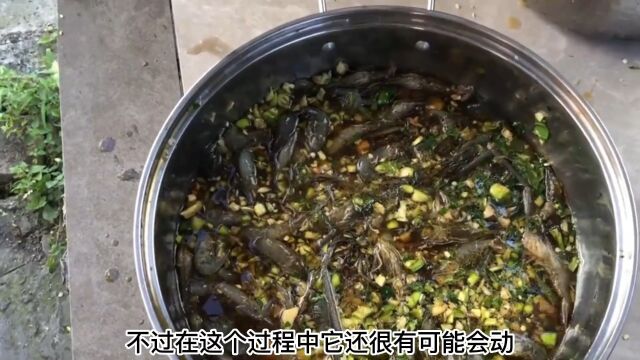 中国人最喜欢吃的五种黑暗料理