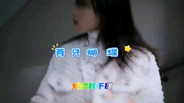 经典歌曲听歌还是得经典歌曲《两只蝴蝶》