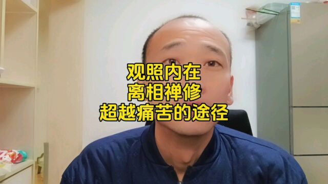 观照内在,离相禅修:超越痛苦的途径