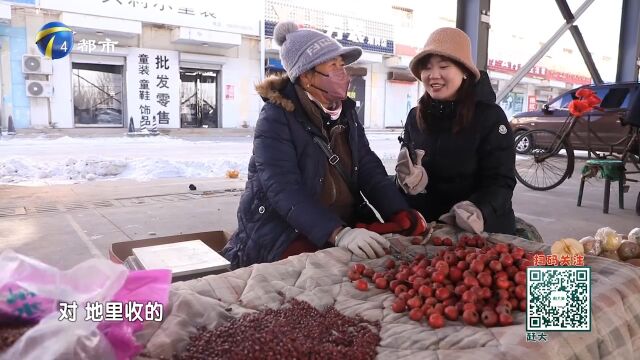 大姐家自己种的红果个头大,成熟度高,可以做成红果酪、糖堆儿等