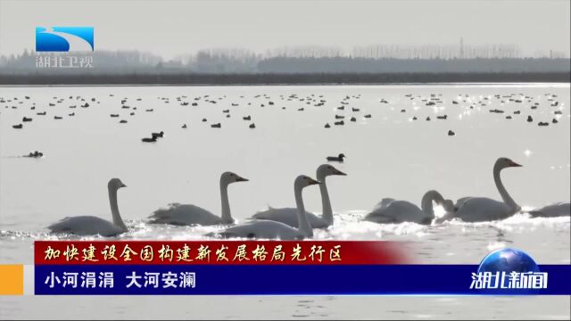 加快建设全国构建新发展格局先行区 小河涓涓 大河安澜