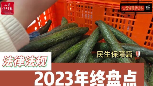 2023年终盘点——法律法规(民生保障篇)