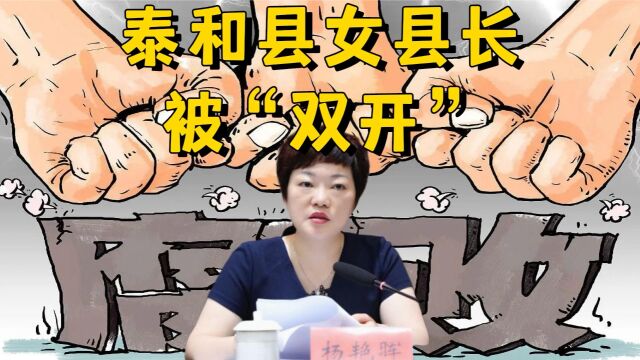 泰和县女县长被“双开”