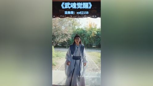 《武魂觉醒》已完结