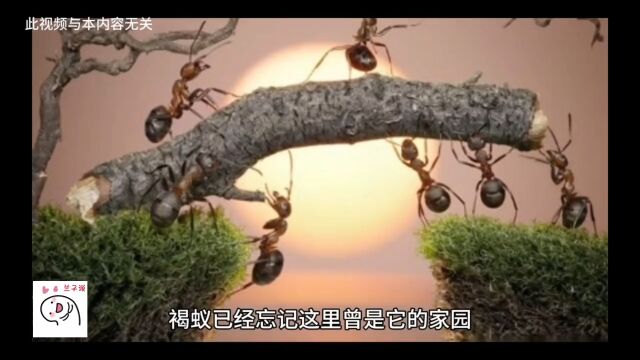 三体黑暗森林序章