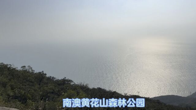 广东南澳岛黄花山森林公园