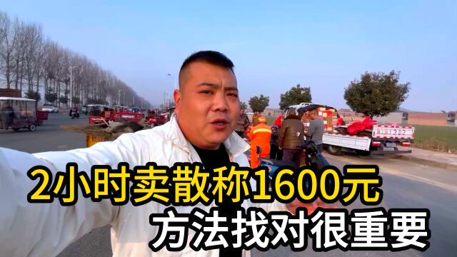 摆摊卖散称2小时营业额1600元,胖仔如何做到每天如此稳定?