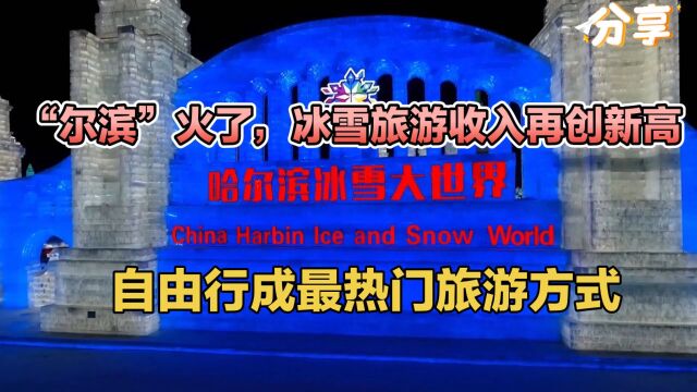 “尔滨”火了,冰雪旅游收入再创新高!自由行成最热门旅游方式