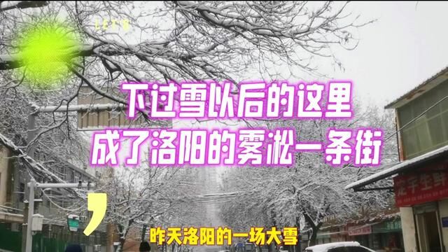 下过雪之后 这里成了洛阳的雾凇一条街#洛阳 #喷子