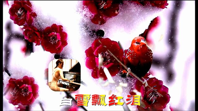 梅花泪 钢琴版 辛更KTV音乐视频4K制作02