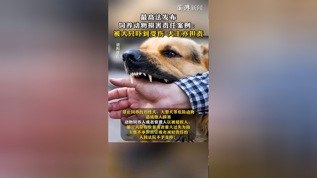 最高法发布饲养动物损害责任案例:被犬只吓到受伤,犬主亦担责