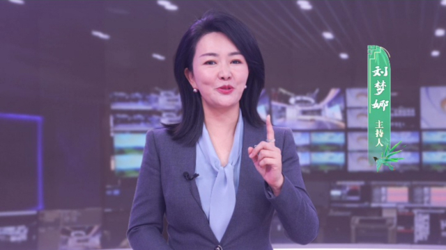湖南卫视主持人刘梦娜图片