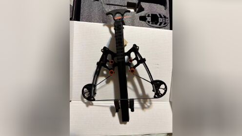 海外拍摄蝙蝠反向复合弩猎豹m38-6十字弩欣赏