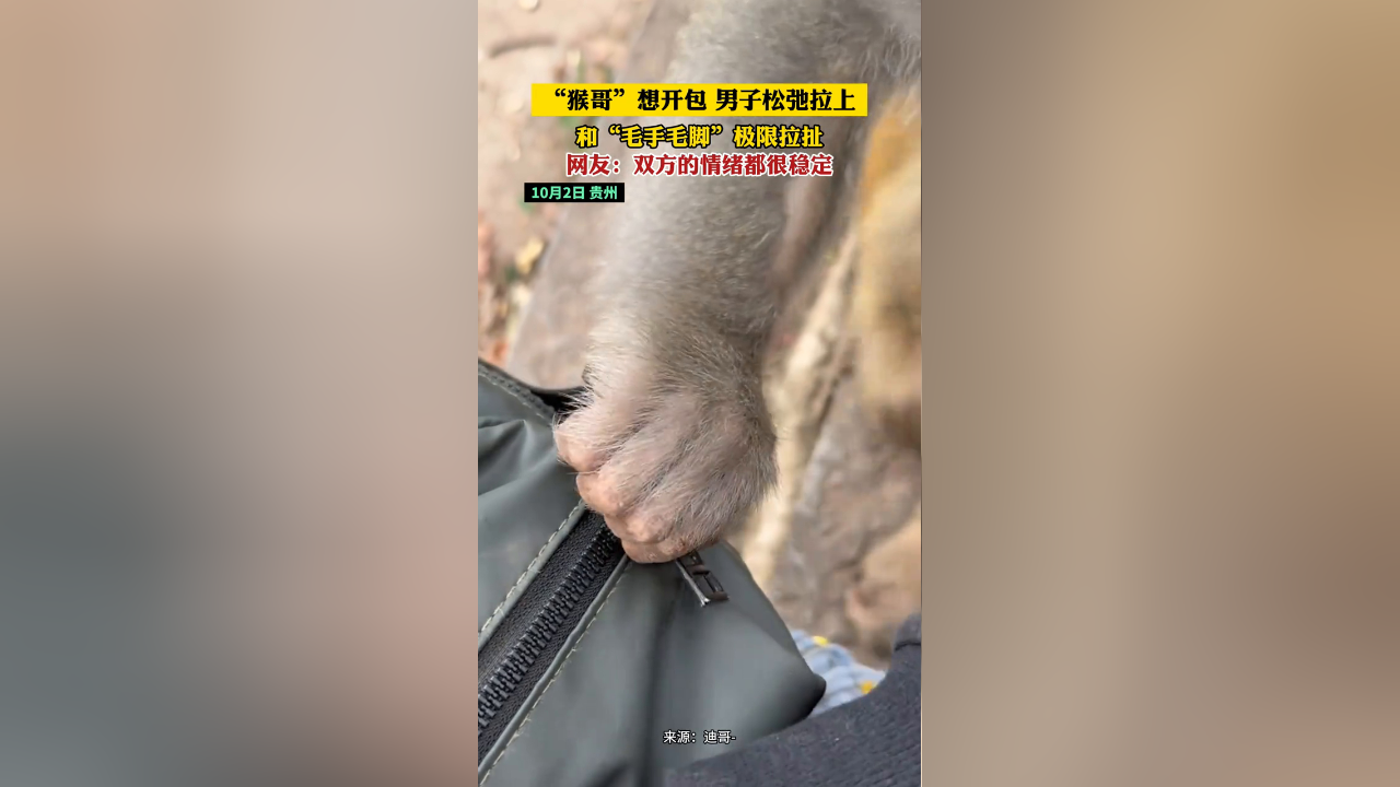 "猴哥"想开包 男子松弛拉上 和"毛手毛脚"极限拉扯