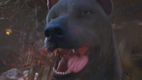 遮天:你知道天不怕地不怕的大黑狗黑皇最怕的两个人是谁吗