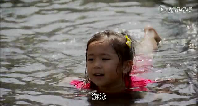 芝麻街国际版第42季 24集