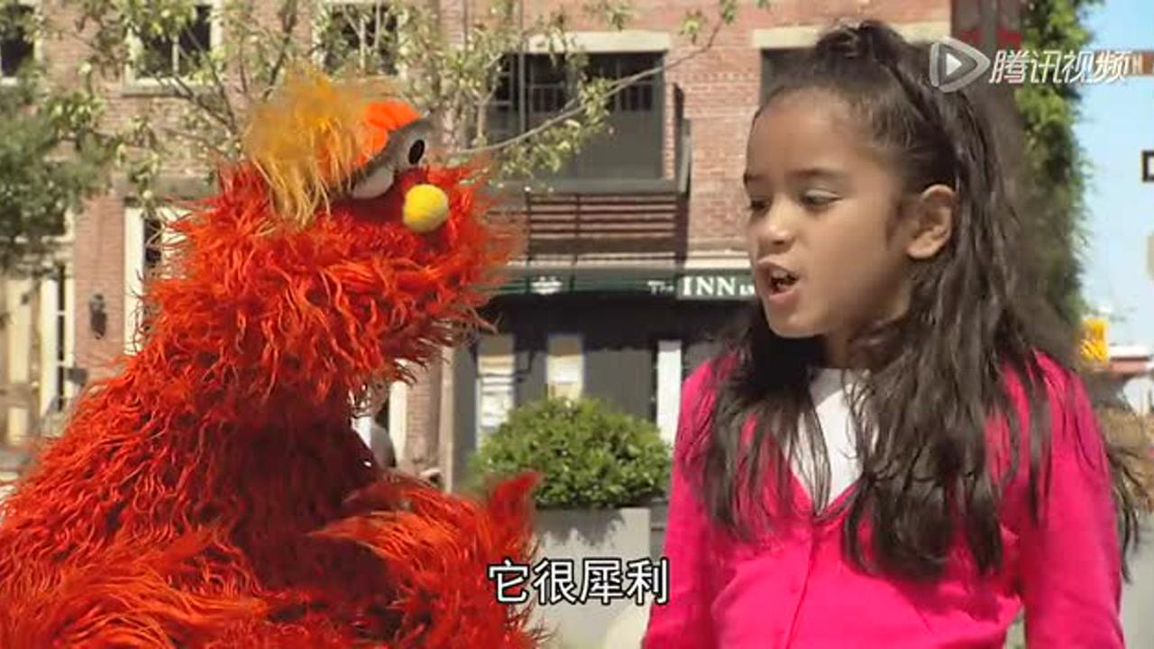 芝麻街国际版第42季 21集