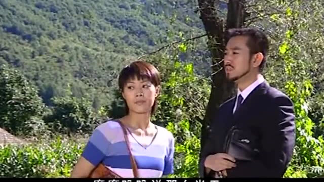 柳树屯 5集