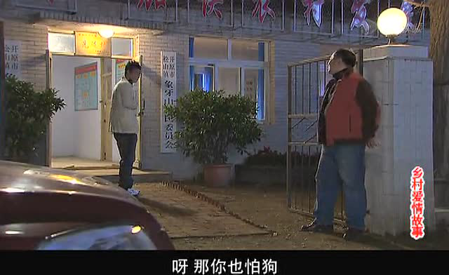 乡村爱情故事 21集