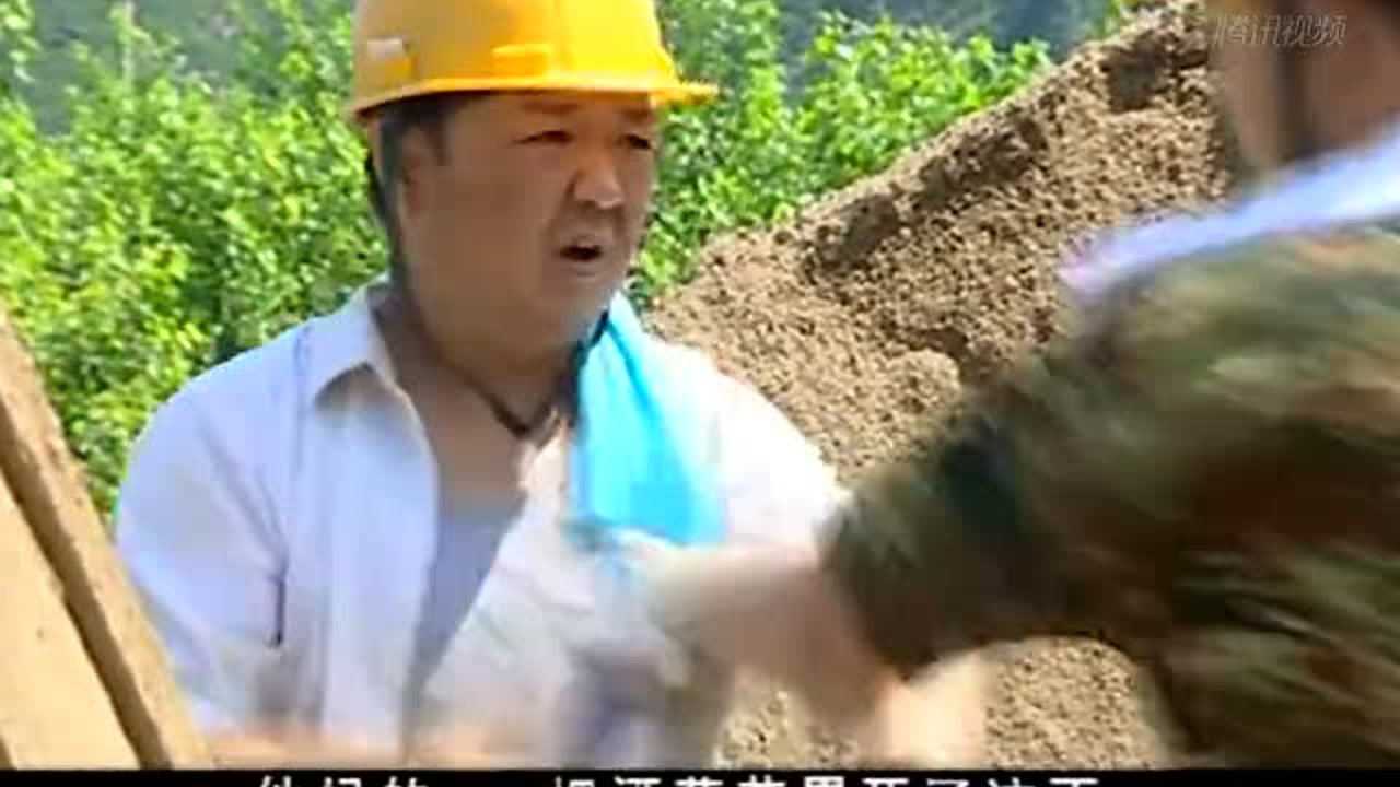 柳树屯 4集