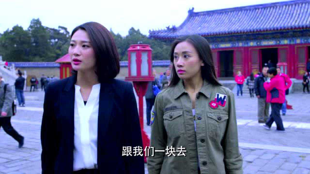 警花与警犬 5集