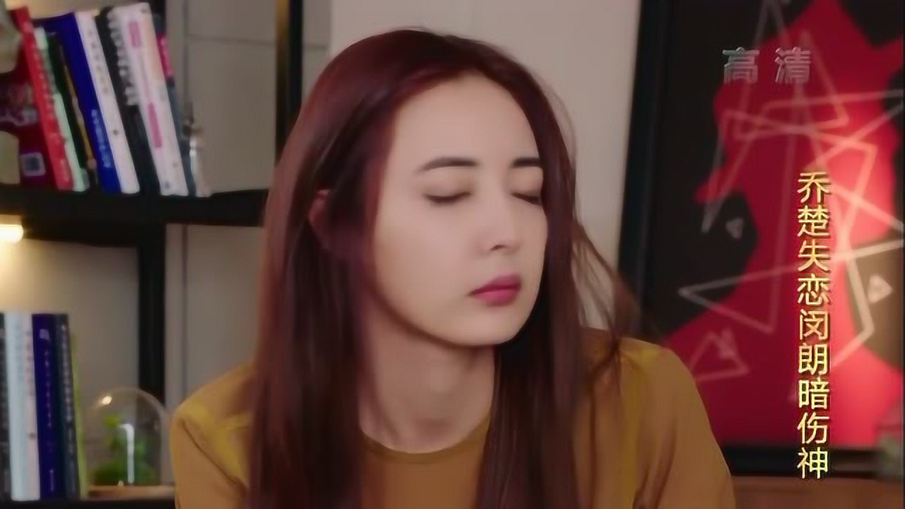 一粒红尘 15集