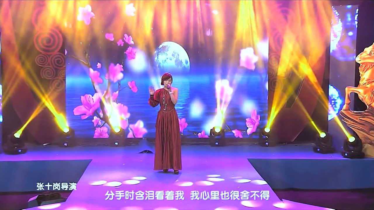 蒋姗倍《红尘情歌》