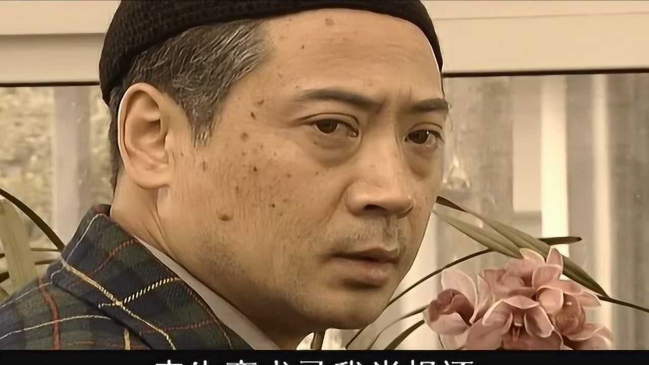 张学良 20集