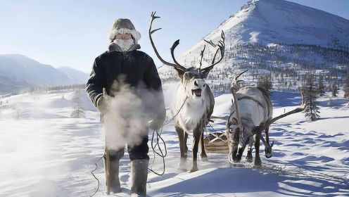 西伯利亚神秘部落涅涅茨人：生吃鹿肉 零下50度生存