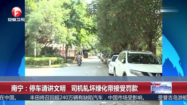 南宁 停车请讲文明 司机轧坏绿化带接受罚款