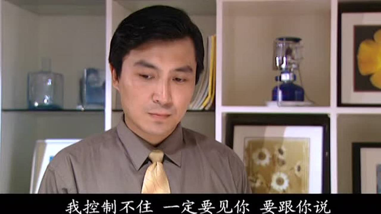 爱如风过 17集