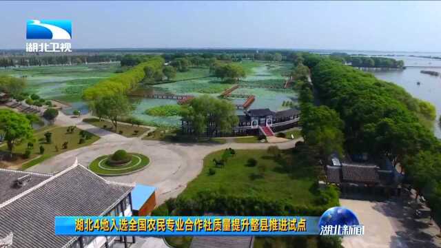 湖北4地入选全国农民专业合作社质量提升整县推进试点