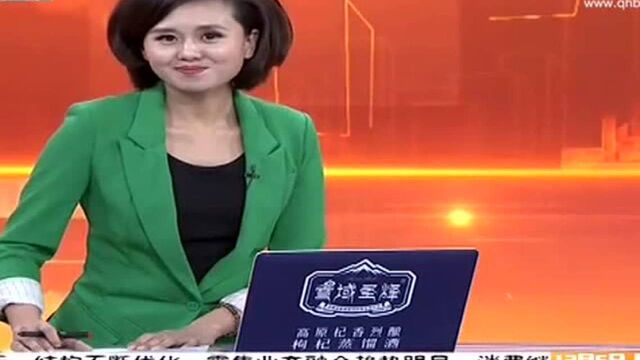 第23届中国(虎门)国际服装交易会开幕