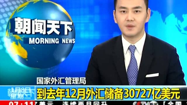 国家外汇管理局 到去年12月外汇储备30727亿美元