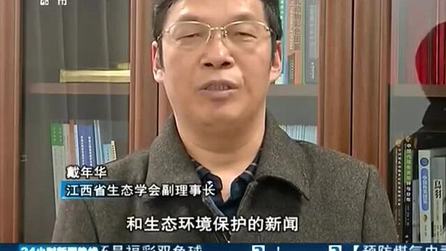 关注生态环境保护 守护我们共同生活的家园