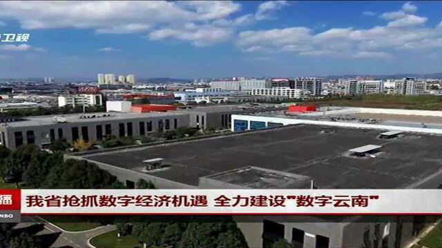 我省抢抓数字经济机遇 全力建设“数字云南”