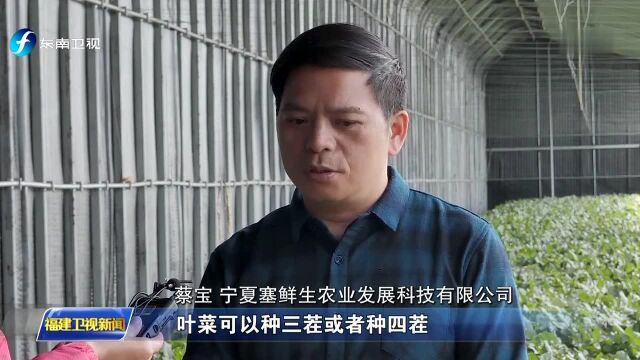 闽宁一家亲 福建援宁干部:真抓实干 助力村民奔小康