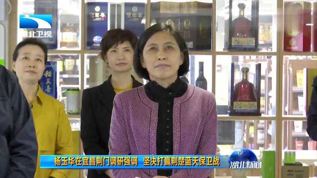 杨玉华在宜昌荆门调研强调 坚决打赢荆楚蓝天保卫战