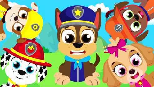 Learning Colors with Paw Patrol | Chase, Marshall, Skye, Rubble by Little Angel