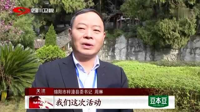 海峡两岸文昌文化交流活动开幕