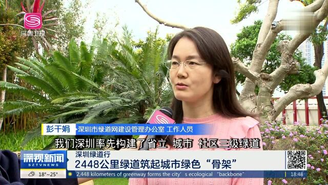 深圳绿道行 2448公里绿道筑起城市绿色“骨架”