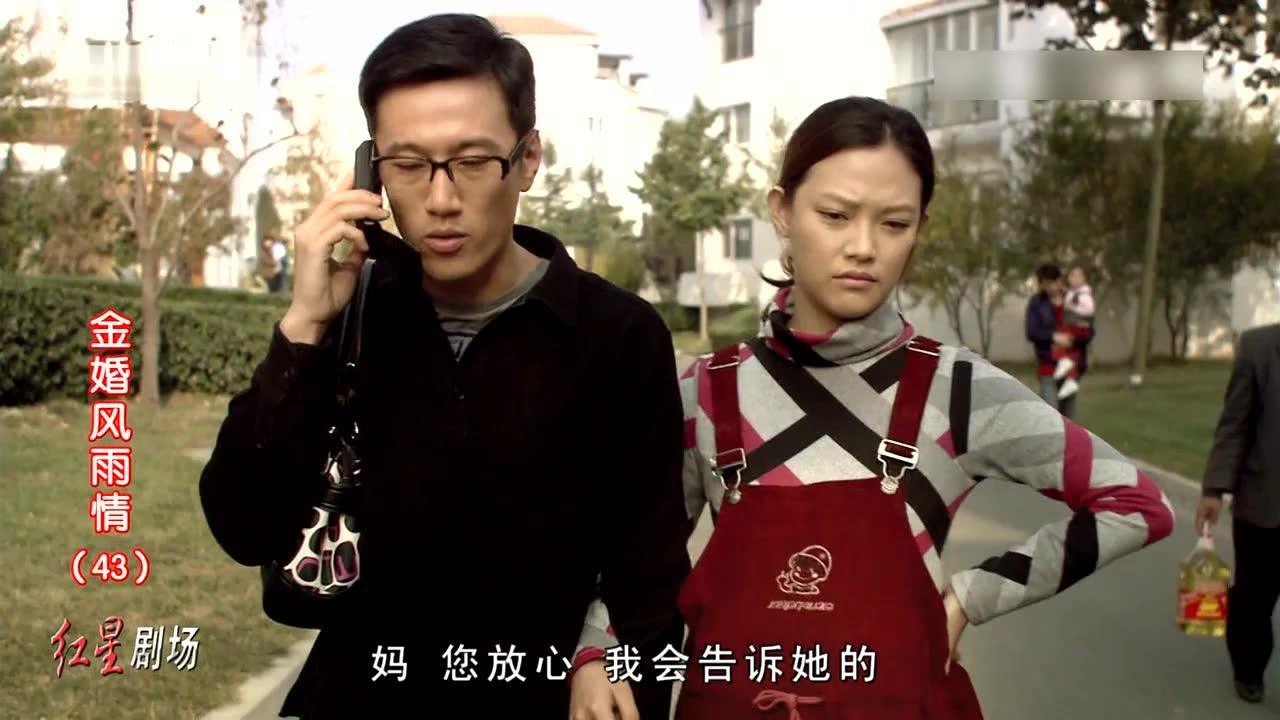 金婚风雨情 43集