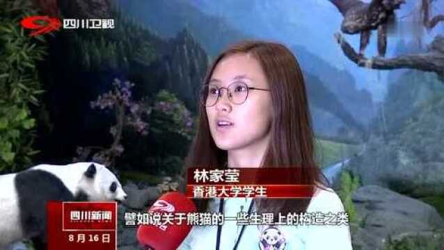 粤港青年:卧龙实习收获多