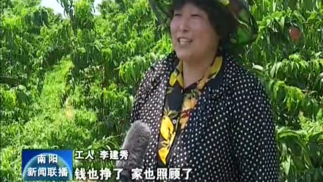 方城券桥镇发展特色林果助民增收致富